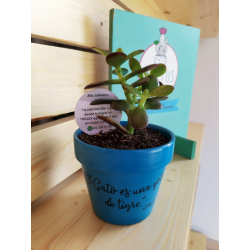 Inspiración literaria en cada rincón