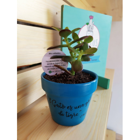 Inspiración literaria en cada rincón