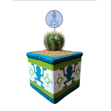 Cactus & Color