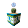 Cactus & Color